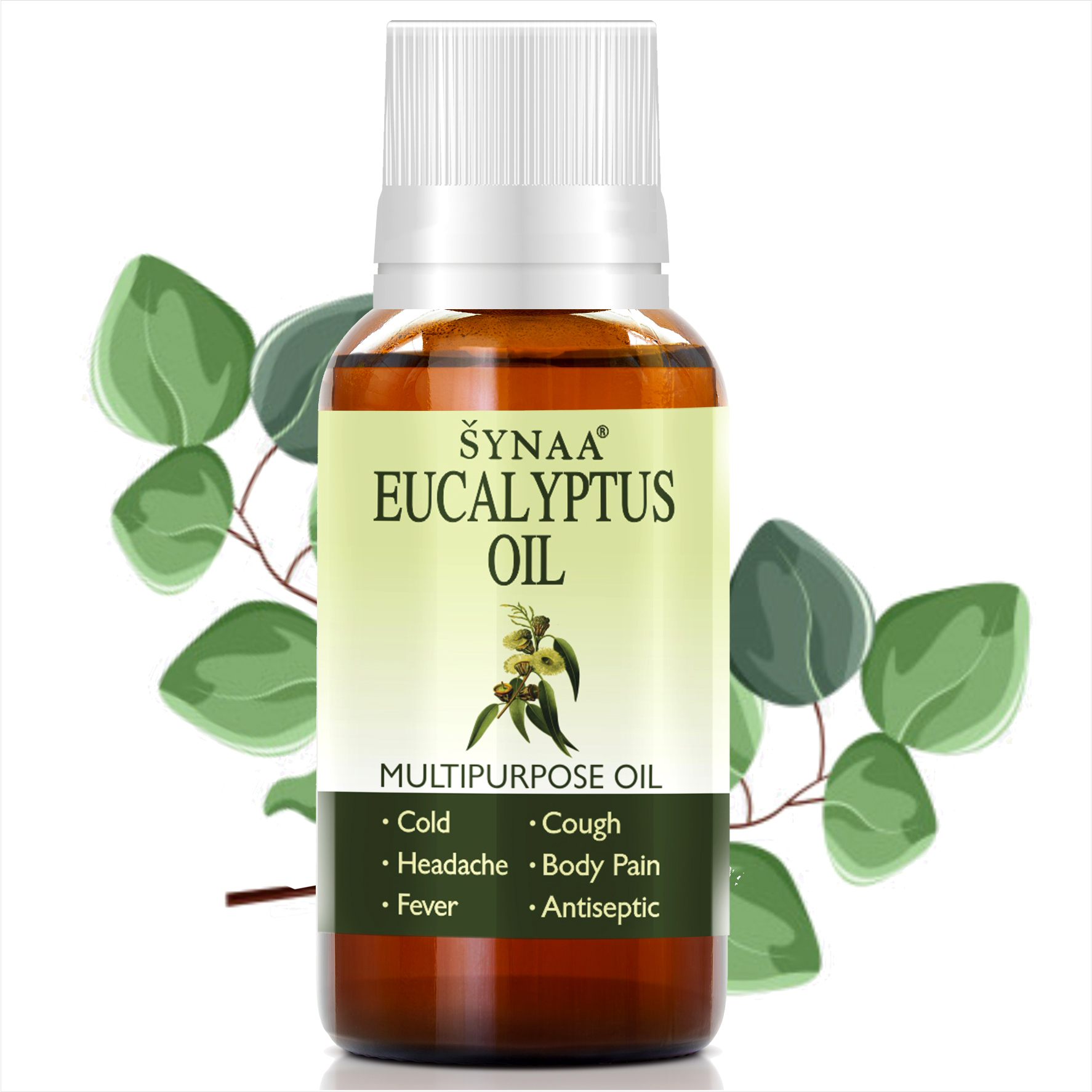 eucalyptus