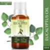 EUCALYPTUS 4