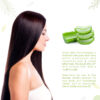 Synaa Aloe Vera Shampoo