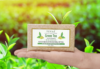 Synaa Green Tea Handmade Soap