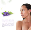 Synaa Lavender Body Wash