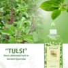 Synaa Tulsi Body Wash