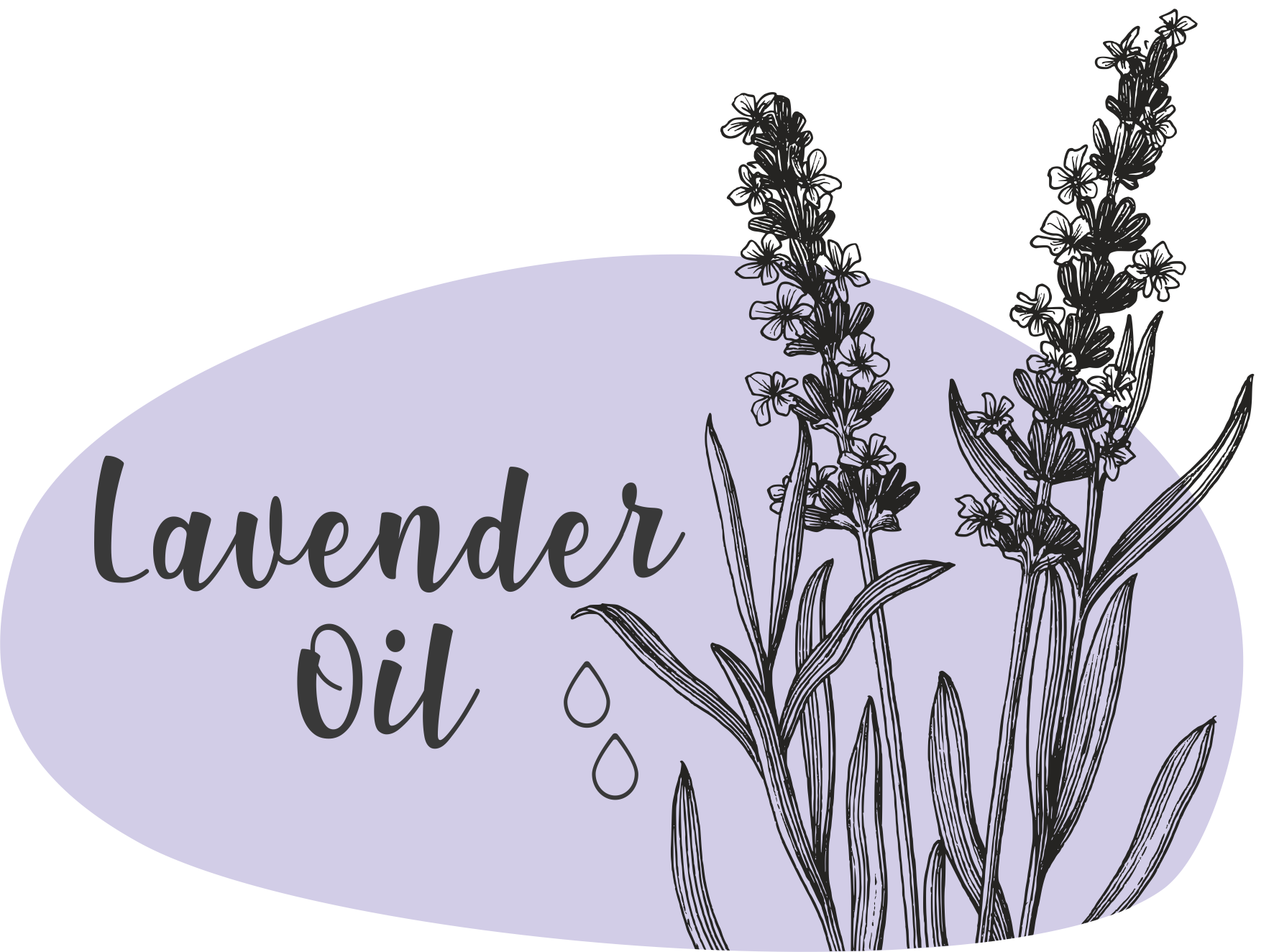 LAVENDER OIL