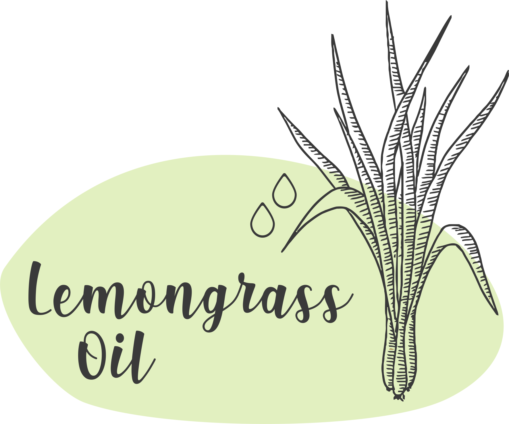 LEMONGRASS OIL