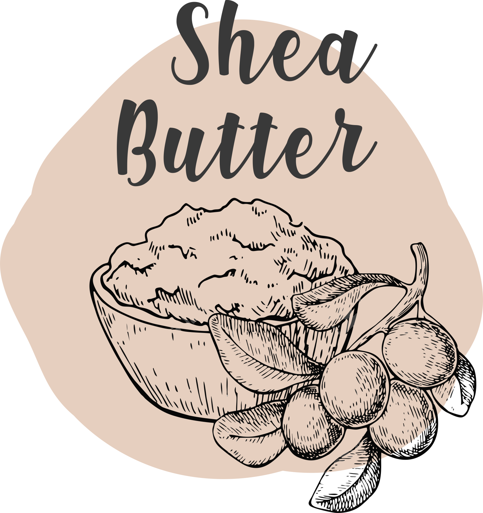 SHEA BUTTER