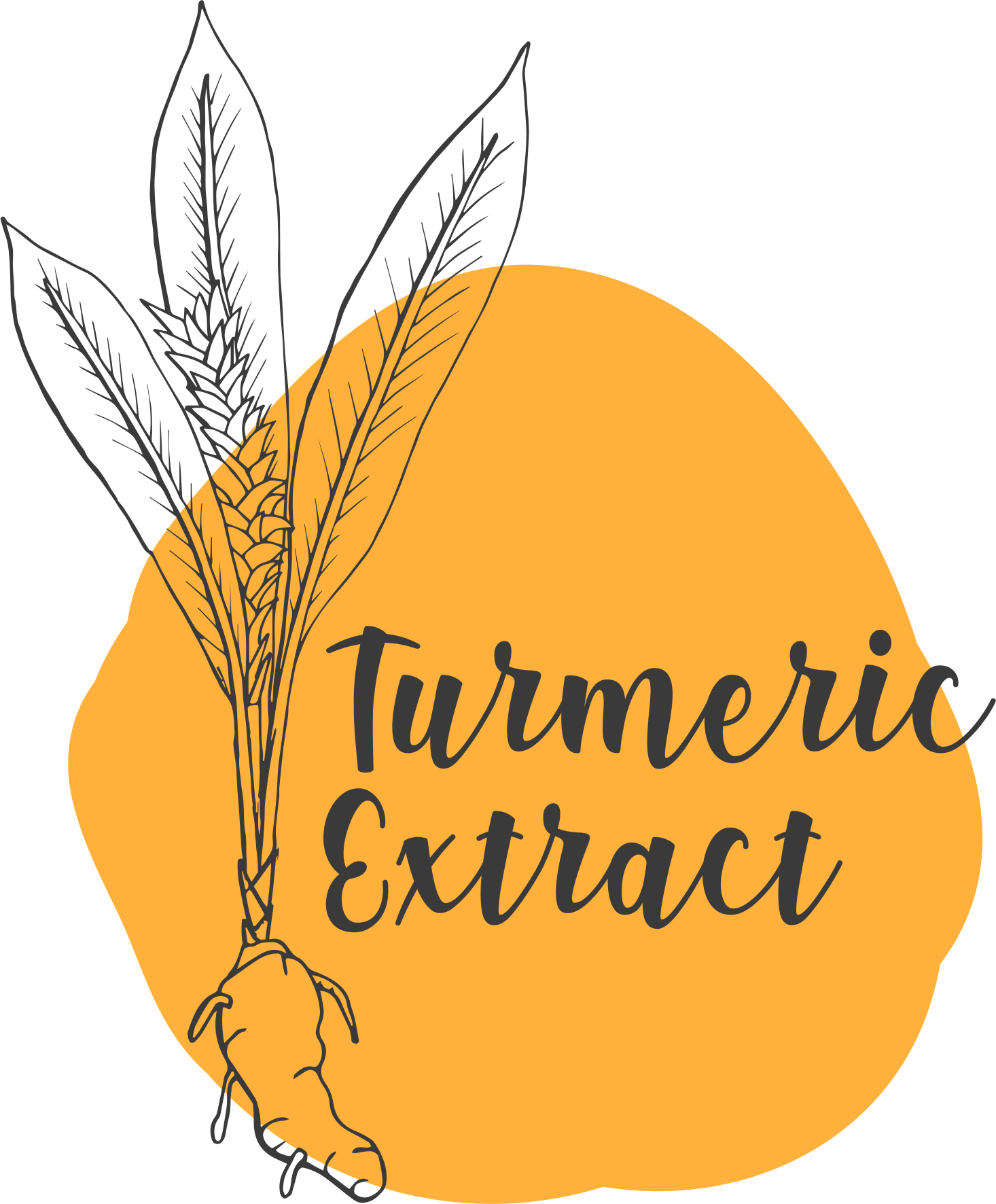 TURMERIC EXTRACT